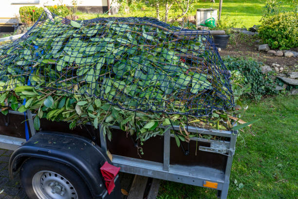 Best Shed Removal  in Grafton, WI